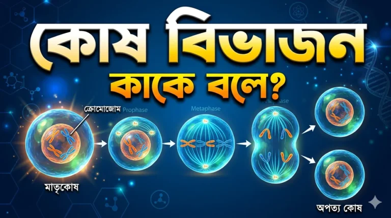 কোষ বিভাজন কাকে বলে